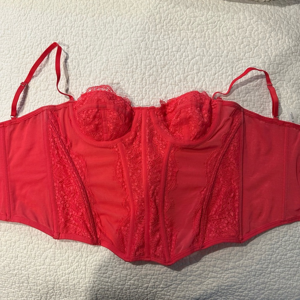 Out from Under Modern Love Corset Pink